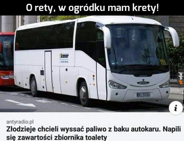 Szybko pożałowali swojej decyzji