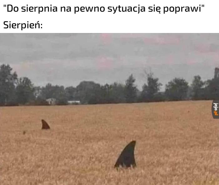 Robi się dziwnie