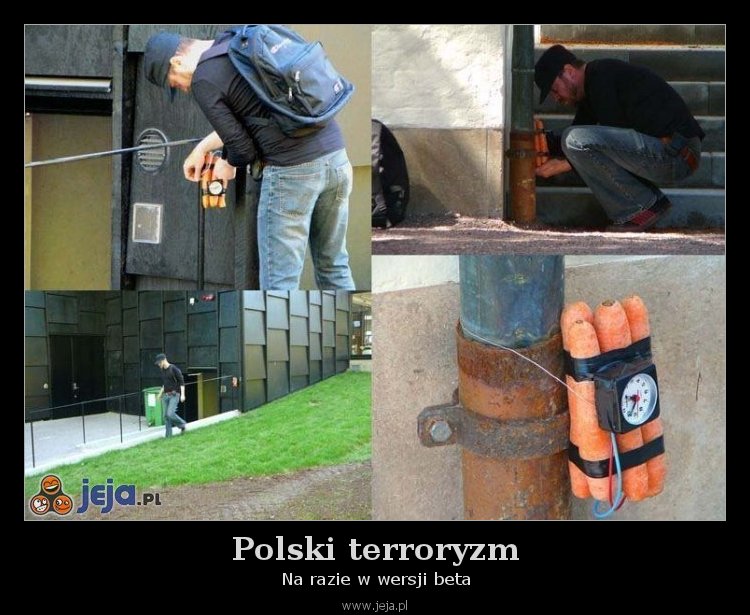 Polski terroryzm