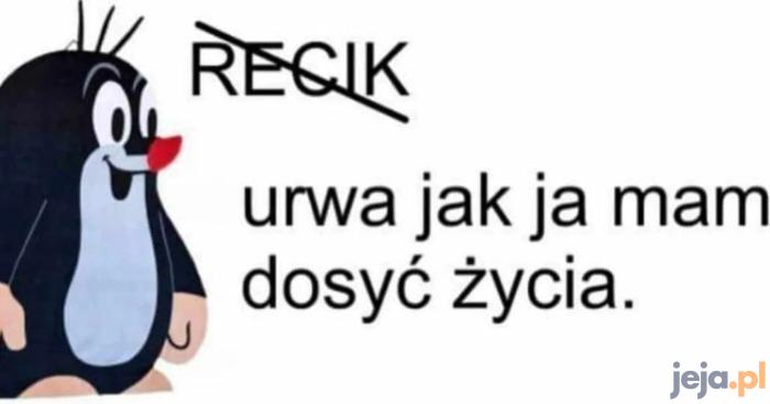 Rebus