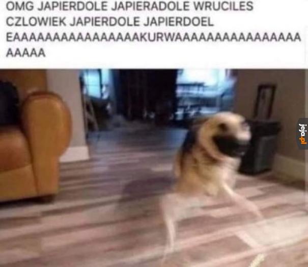 AAAAAAAAAAAAAAAAAAAAAa