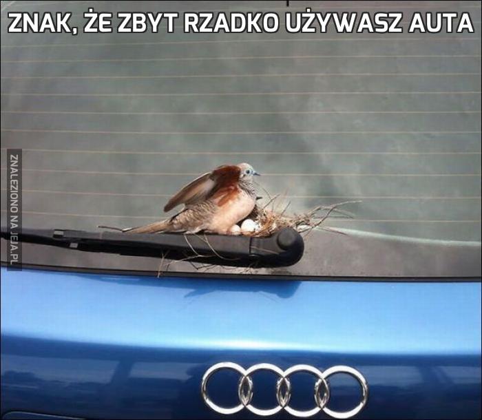 Znak, że zbyt rzadko używasz auta