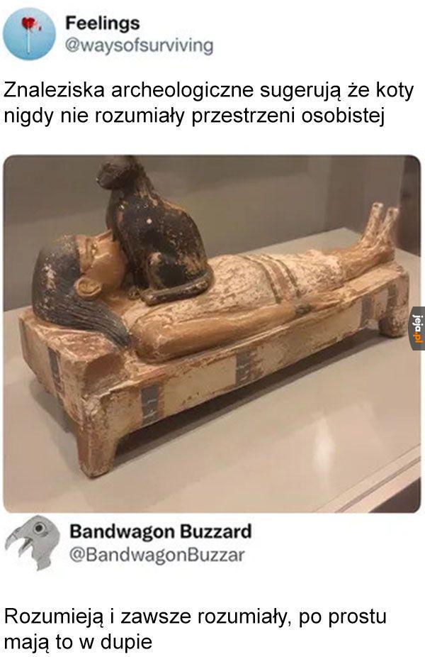 One wiedzą