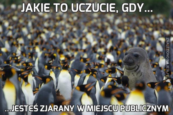 Jakie to uczucie, gdy...