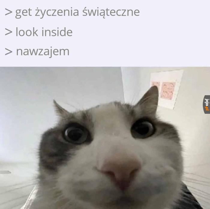 Jak co roku