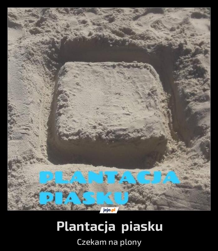 Plantacja piasku