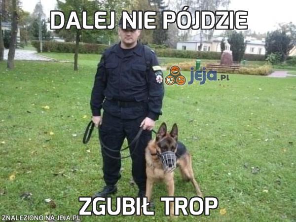 Dalej nie pójdzie