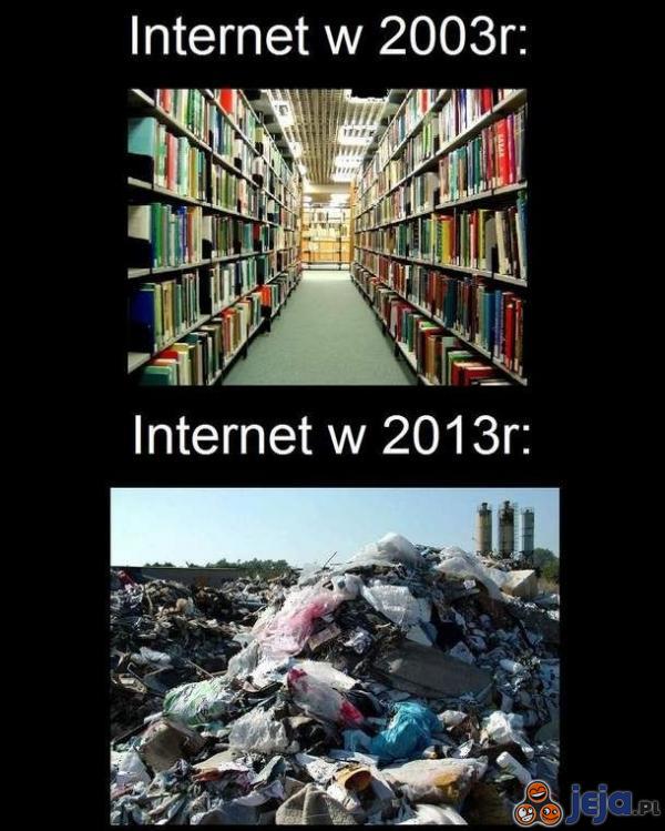 Internet w 2003 i 2013