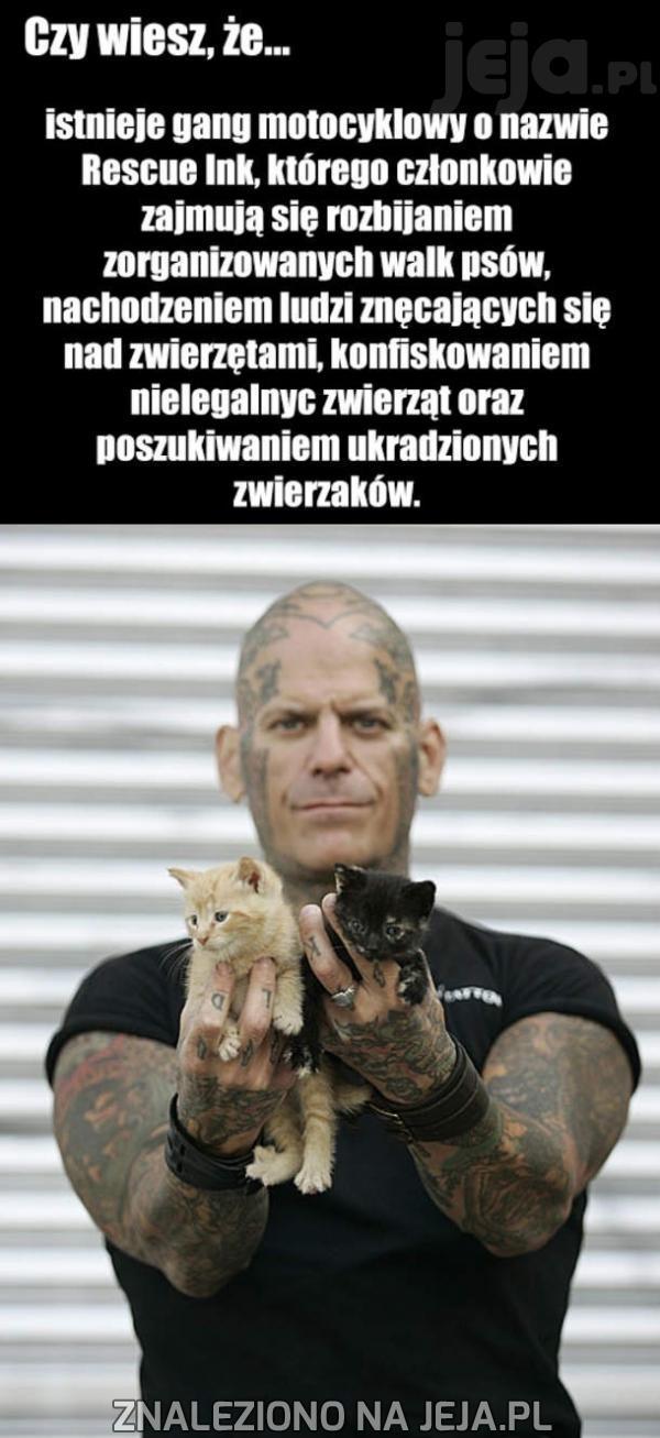 Gang, który pomaga zwierzętom