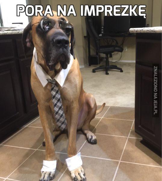 Pora na imprezkę