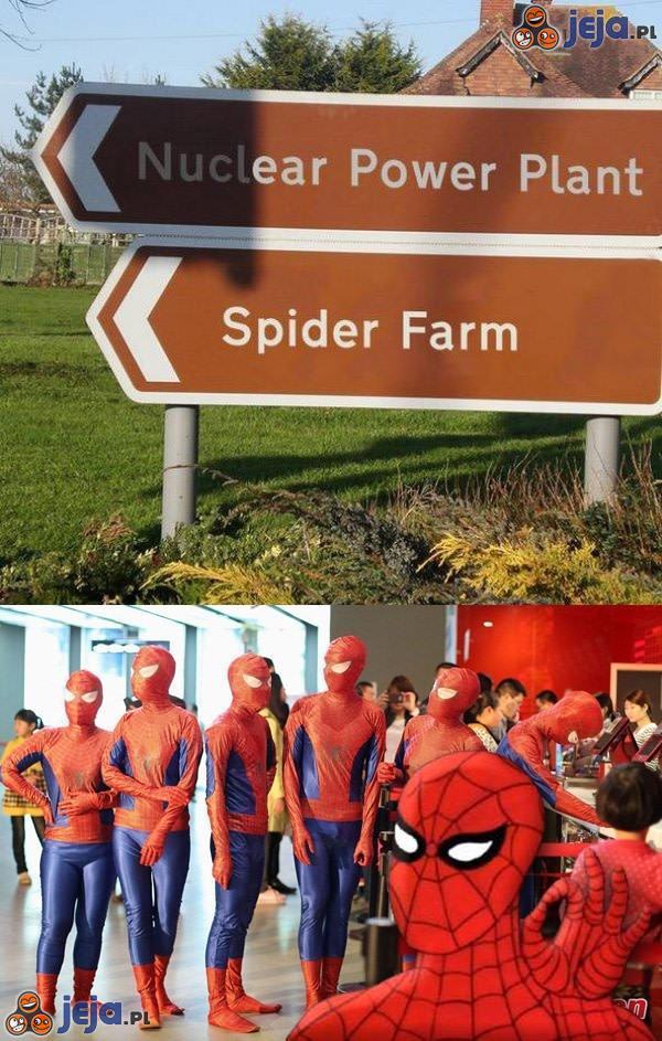 Spiderman, Spiderman...