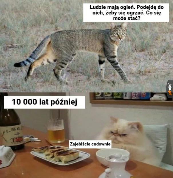 Warto było?