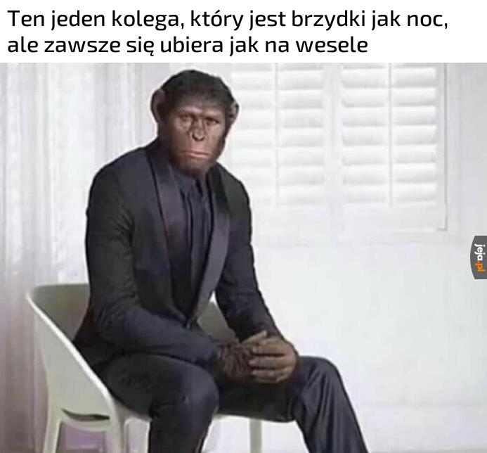 Znasz kogoś takiego?