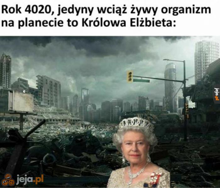 Żyje i ma się świetnie