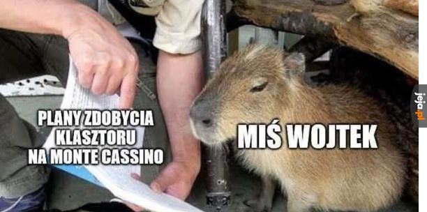 Miś Wojtek był kapibarą