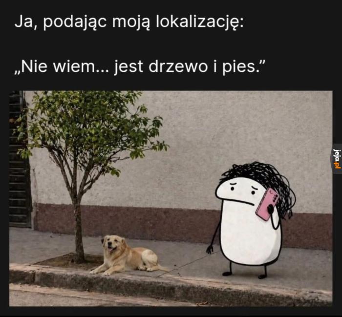 Nie ogarniam ulic