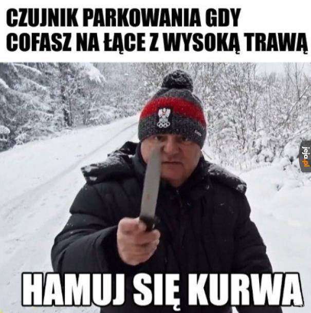 Makłowicz