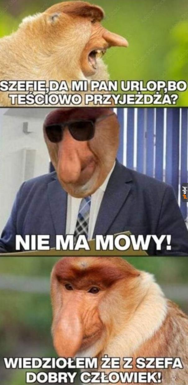 Dziękuje szefie