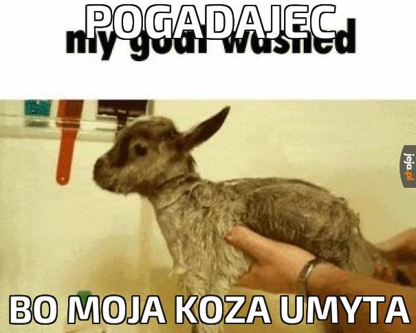 Pogadajec