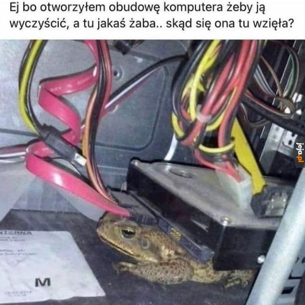 Zdaje się, że odbiera list