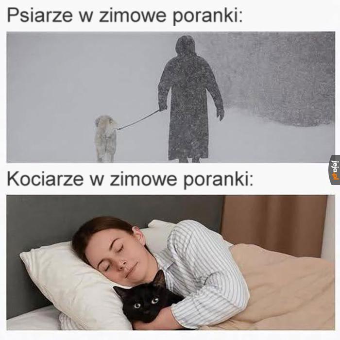 Boże błogosław kuwety