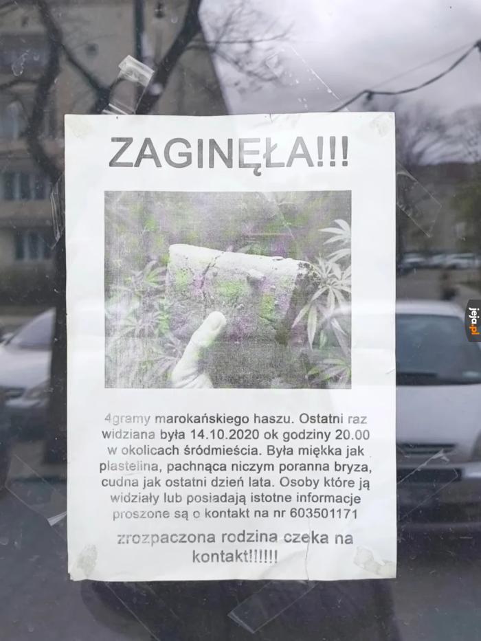 Pomocy, widział ktoś?