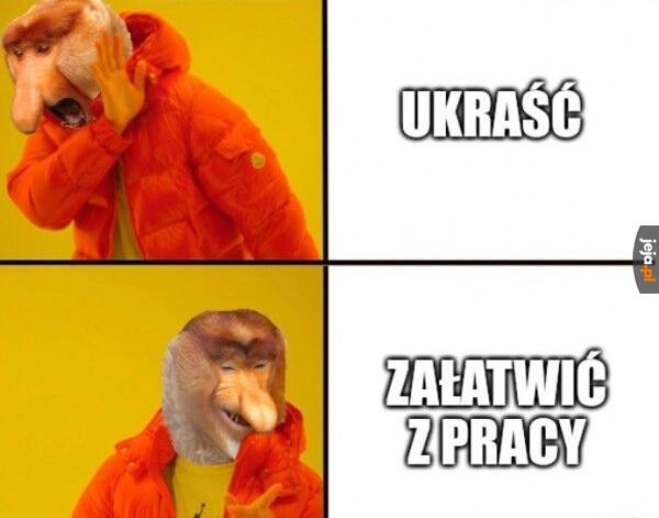 Skołowane