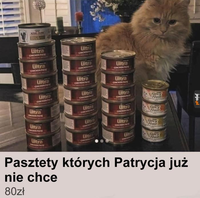 Kot Bożydara potrafi być wybredny