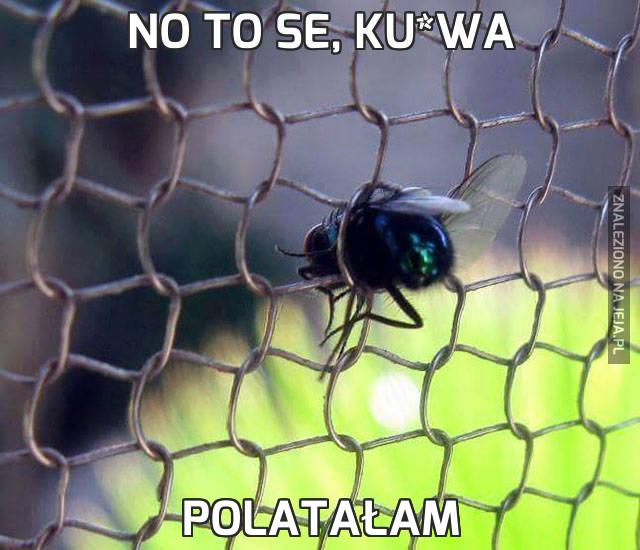 No to se, ku*wa