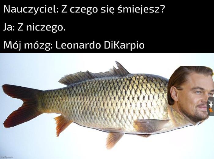 Karpie Diem