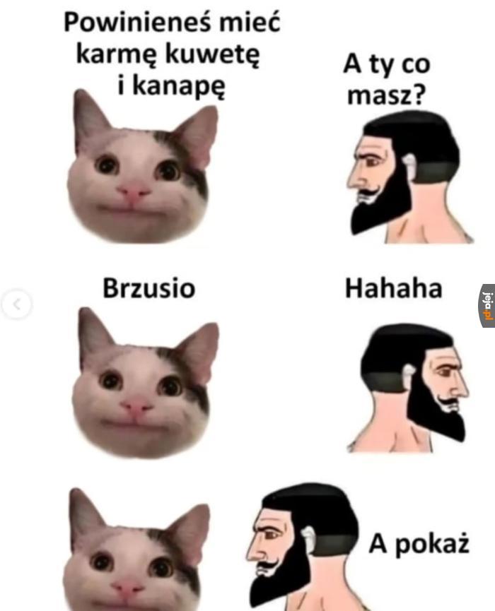Wyrażam zainteresowanie