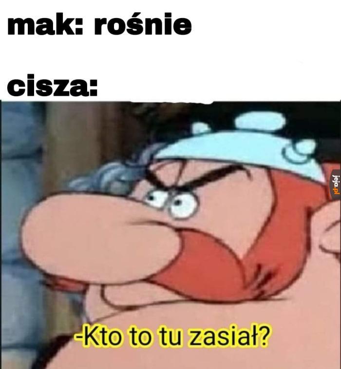 To pewnie baba