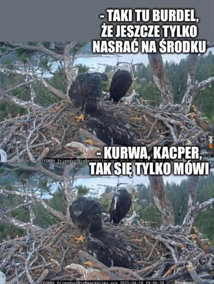 To tylko takie powiedzenie
