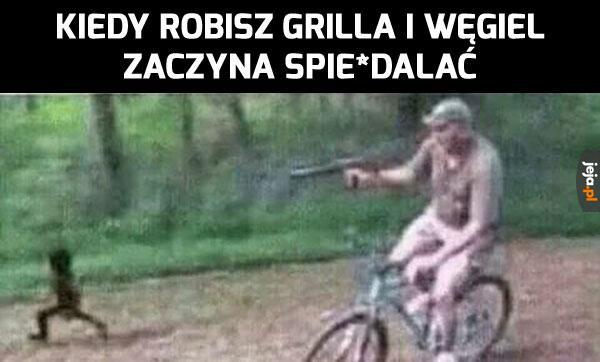 Wracaj tu!