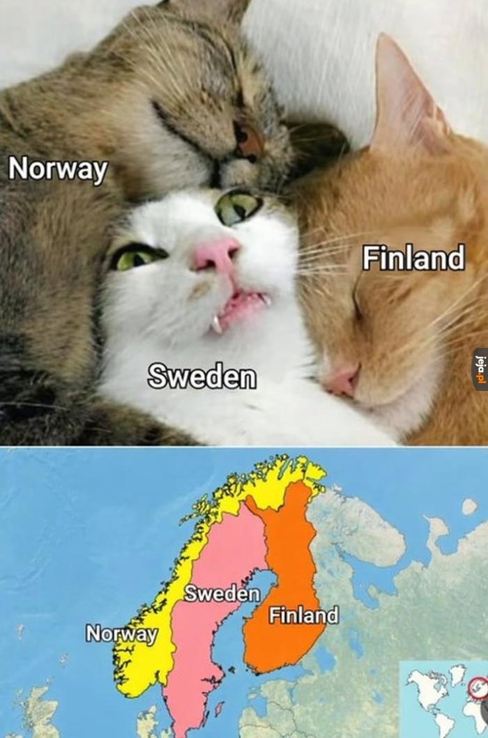 Skandynawia