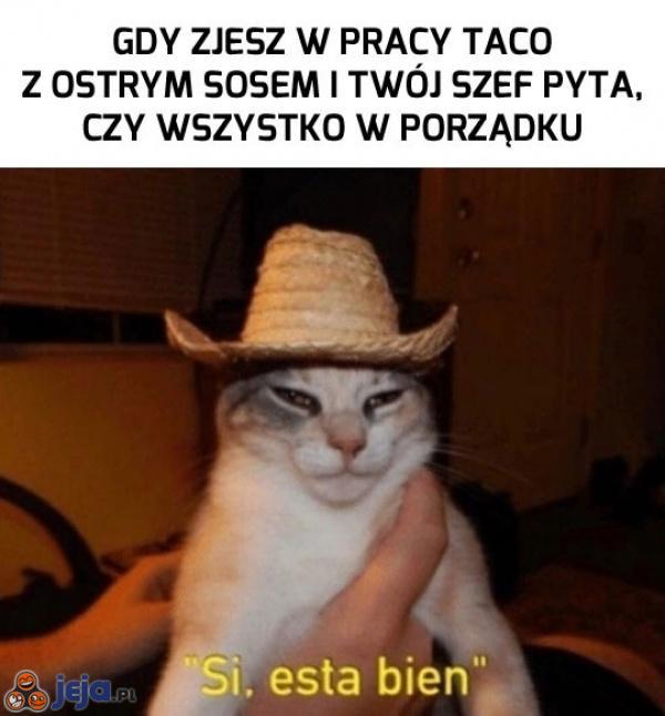 Trump nie lubi tego