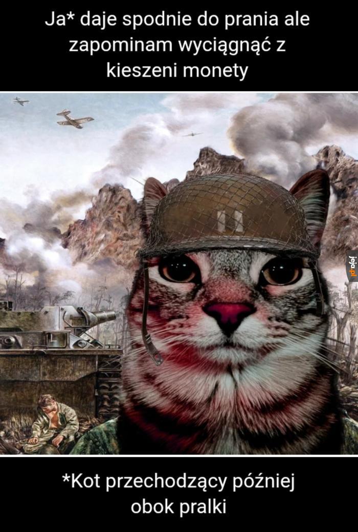 Cat'nam