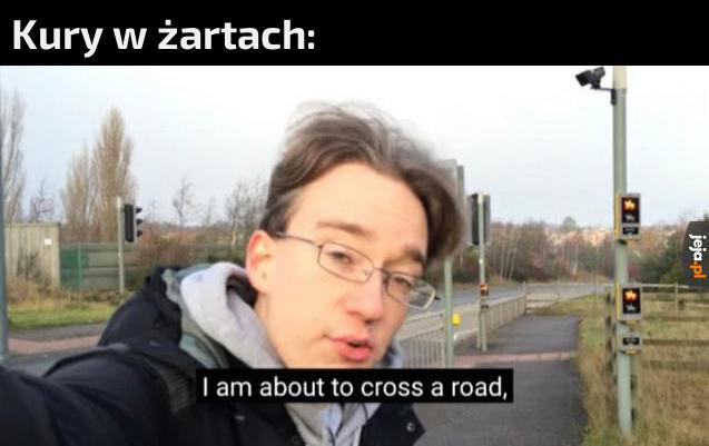 Po co kura przechodzi przez jezdnię?