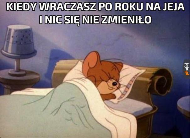 Kiedy wraczasz po roku na jeja i nic się nie zmieniło