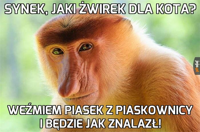 Po co piniondz marnować?