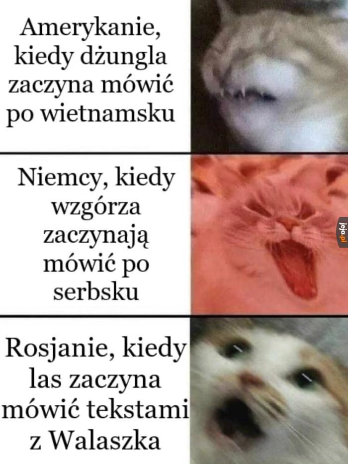 O nie