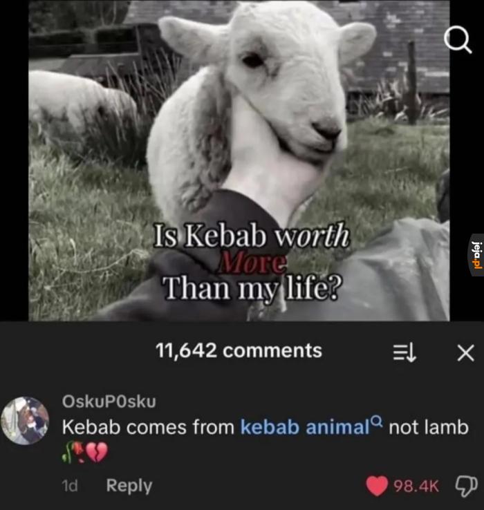 Polecicie dokument o dzikich kebabach?