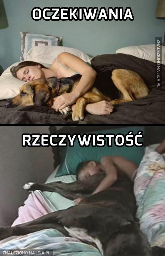 Spanie z psem w jednym łóżku...