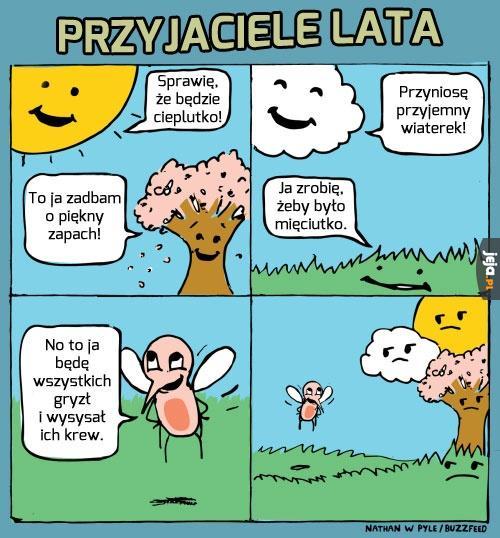 Przyjaciele lata