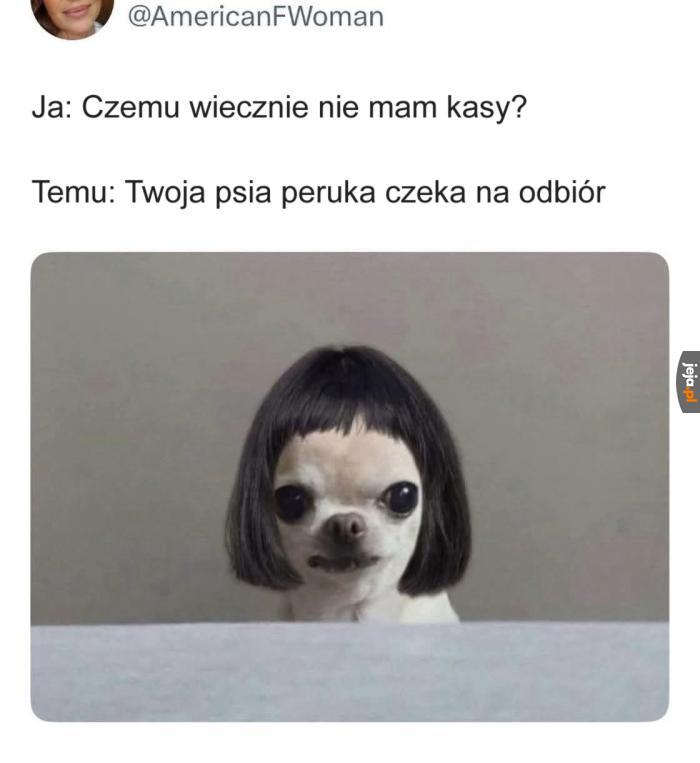 Gdzie może leżeć problem?