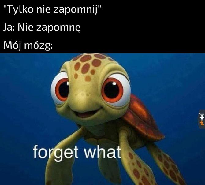 Zapomnę