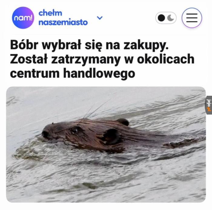 Alarm!