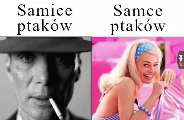 Inaczej niż u ludzi