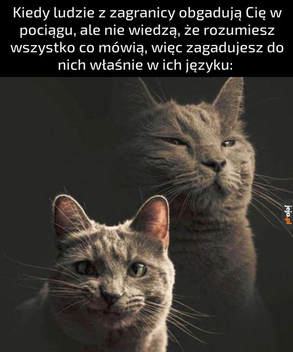 Quero dizer-vos que estão maravilhosos