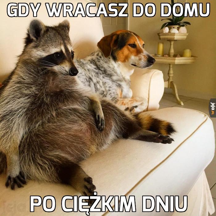 Gdy wracasz do domu